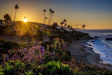 research on the focusing illusion california